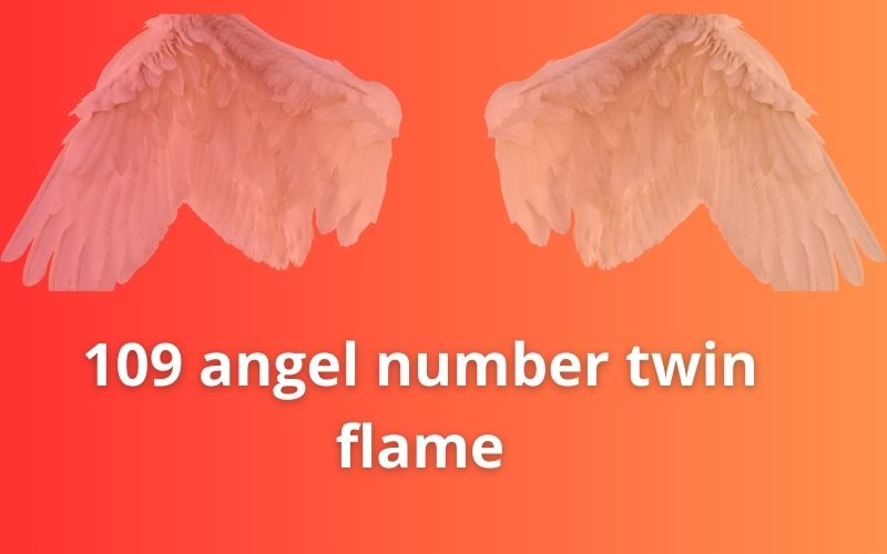 109 angel number twin flame