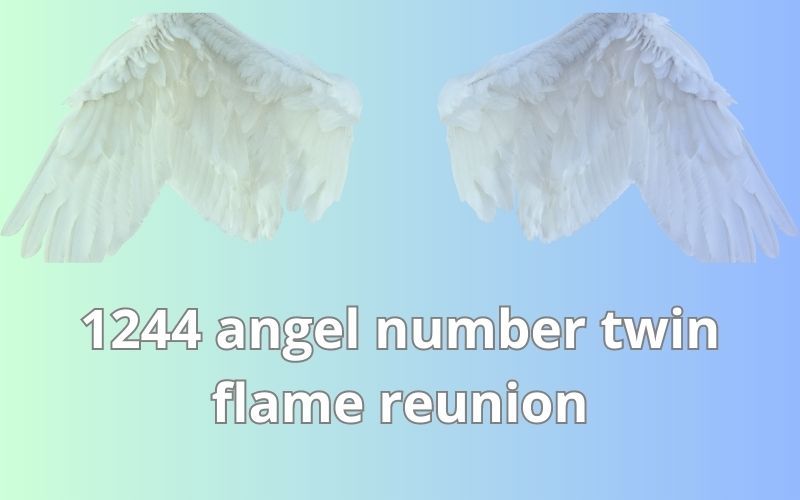 1244 angel number twin flame reunion
