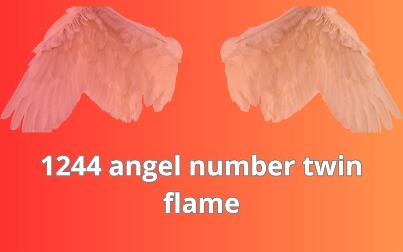 1244 angel number twin flame