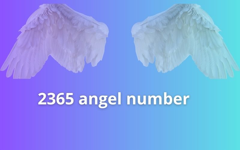 2365 angel number