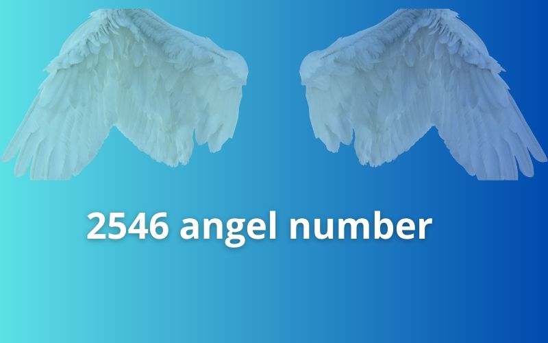 2546 angel number