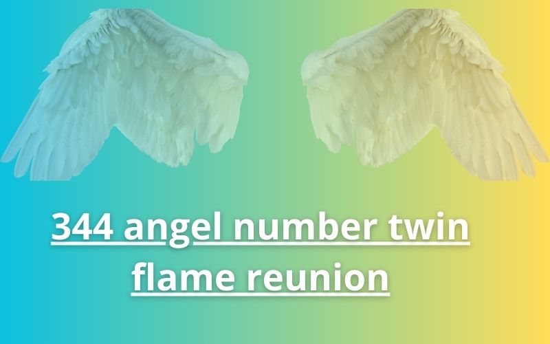344 angel number twin flame reunion