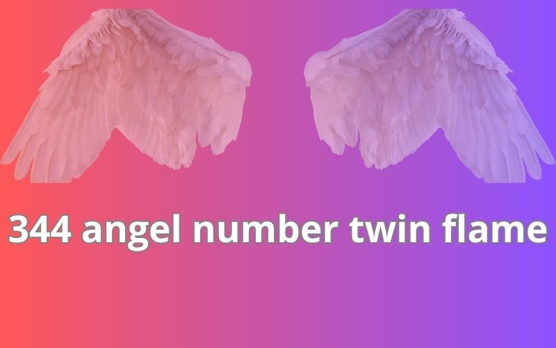 344 angel number twin flame