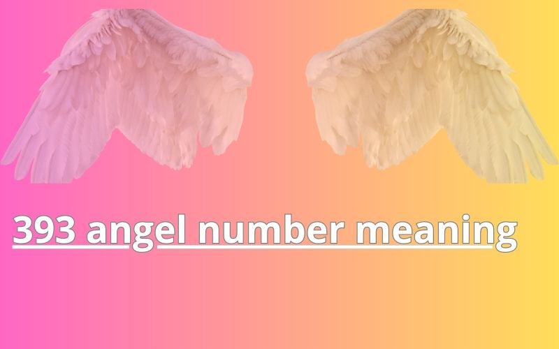393 angel number meaning