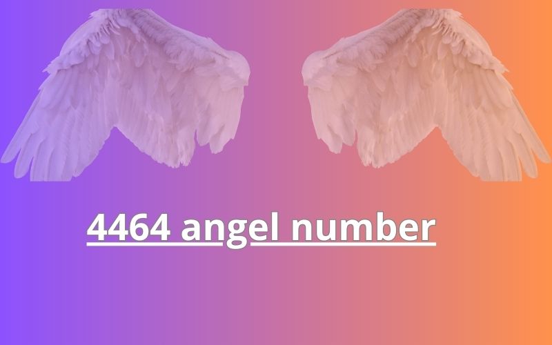 4464 angel number