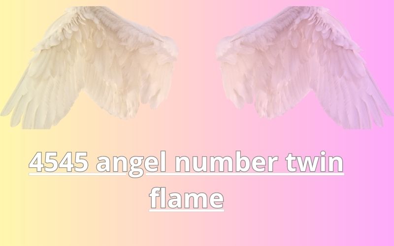 4545 angel number twin flame