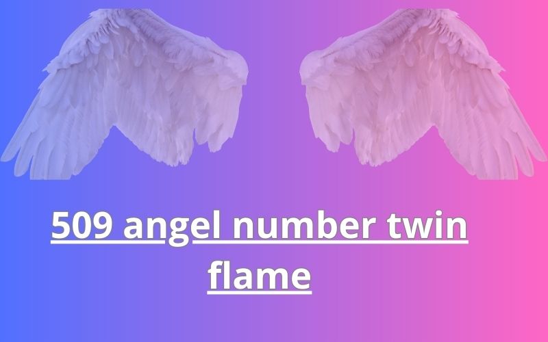 509 angel number twin flame