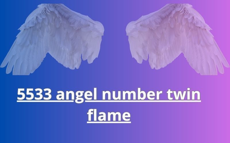 5533 angel number twin flame
