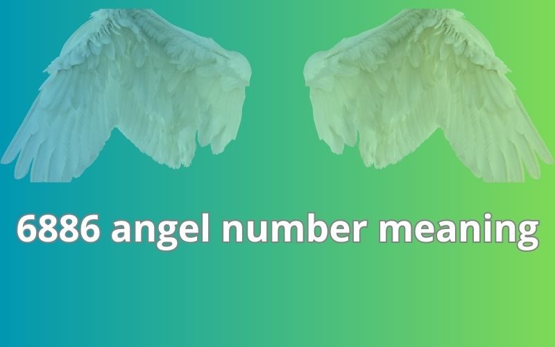 6886 angel number meaning