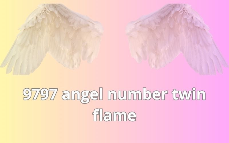 9797 angel number twin flame