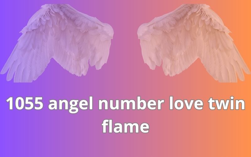 1055 angel number love twin flame
