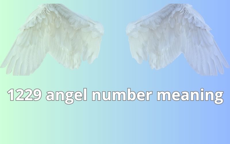1229 angel number meaning