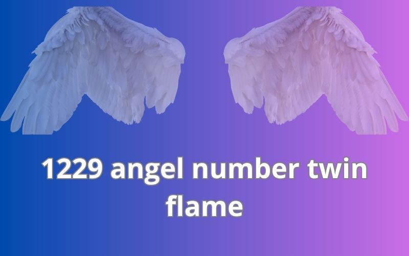 1229 angel number twin flame