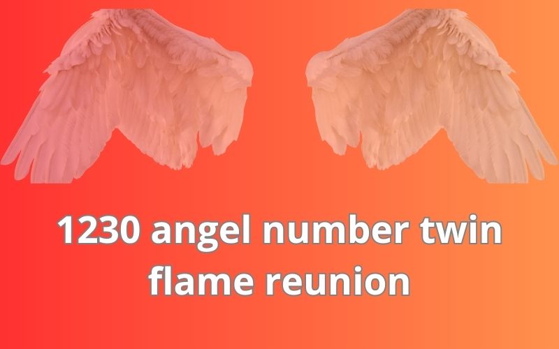 1230 angel number twin flame reunion