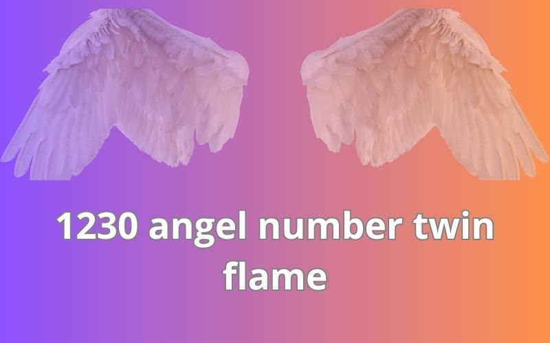 1230 angel number twin flame