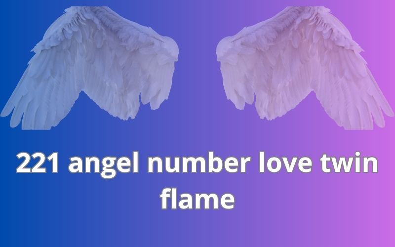 221 angel number love twin flame