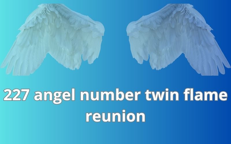227 angel number twin flame reunion