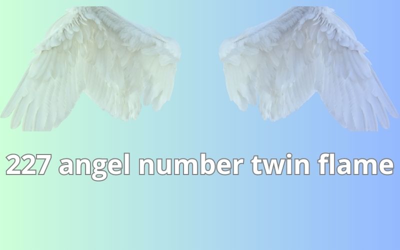 227 angel number twin flame