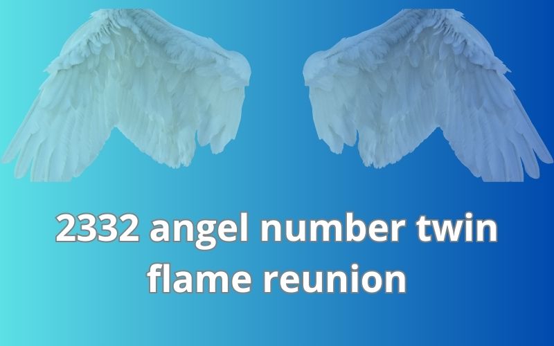 2332 angel number twin flame reunion
