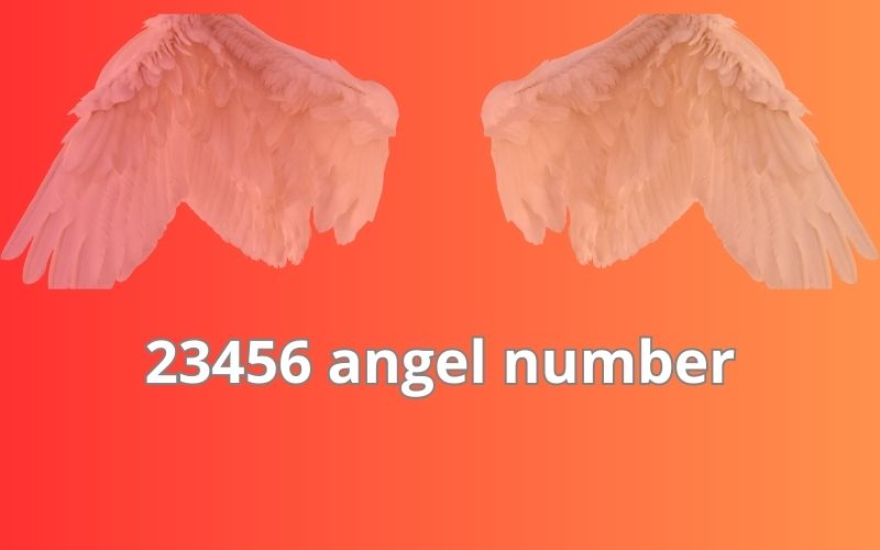 23456 angel number