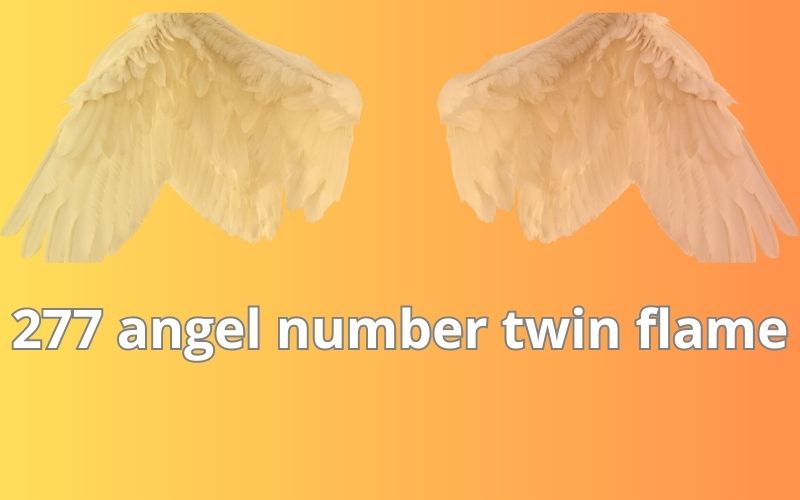 277 angel number twin flame
