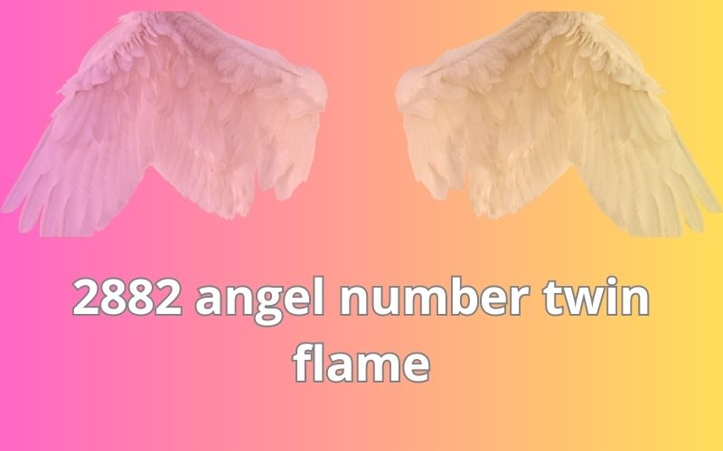 2882 angel number twin flame