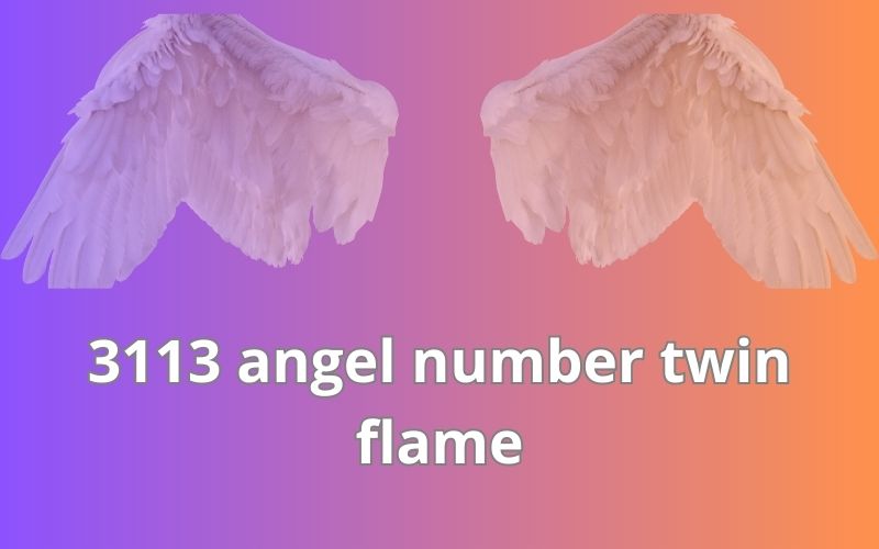 3113 angel number twin flame