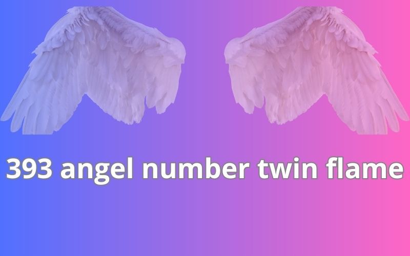 393 angel number twin flame