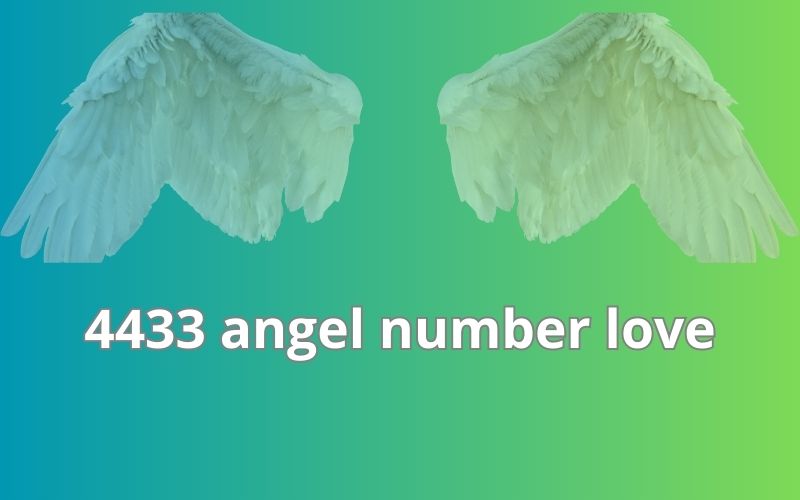 4433 angel number love
