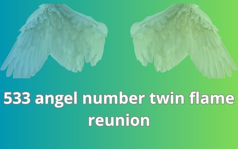 533 angel number twin flame reunion