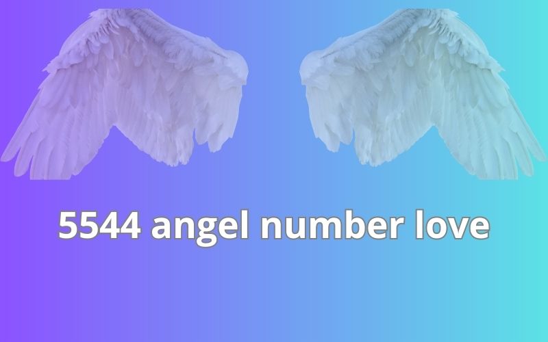 5544 angel number love