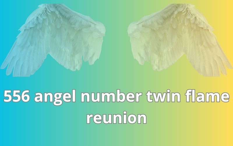 556 angel number twin flame reunion