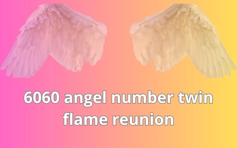 6060 angel number twin flame reunion