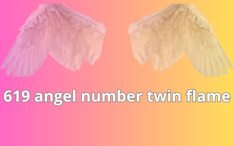 619 angel number twin flame
