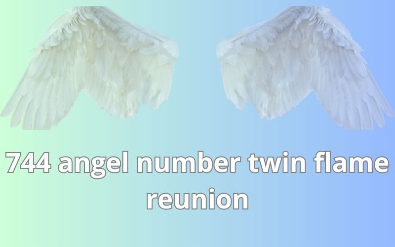 744 angel number twin flame reunion