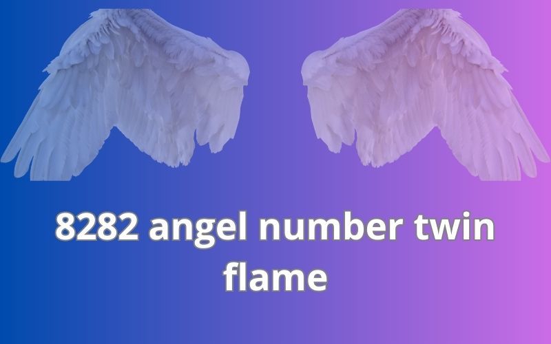 8282 angel number twin flame