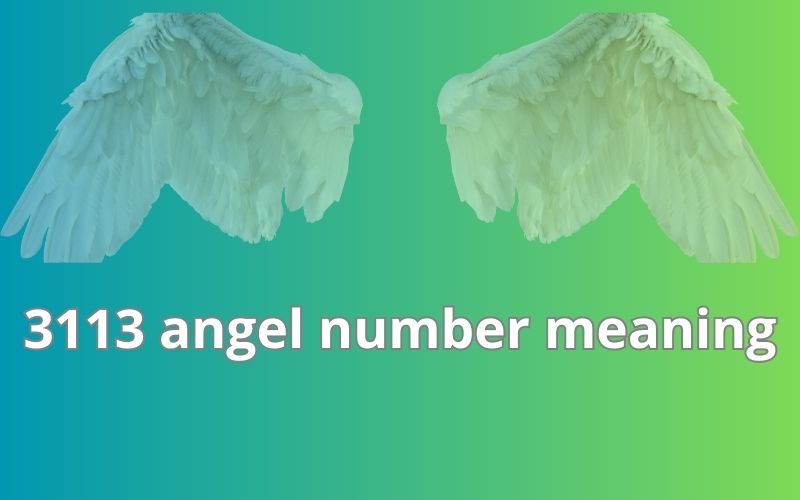 3113 angel number meaning
