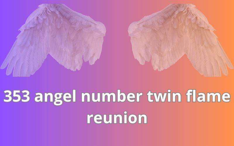 353 angel number twin flame reunion