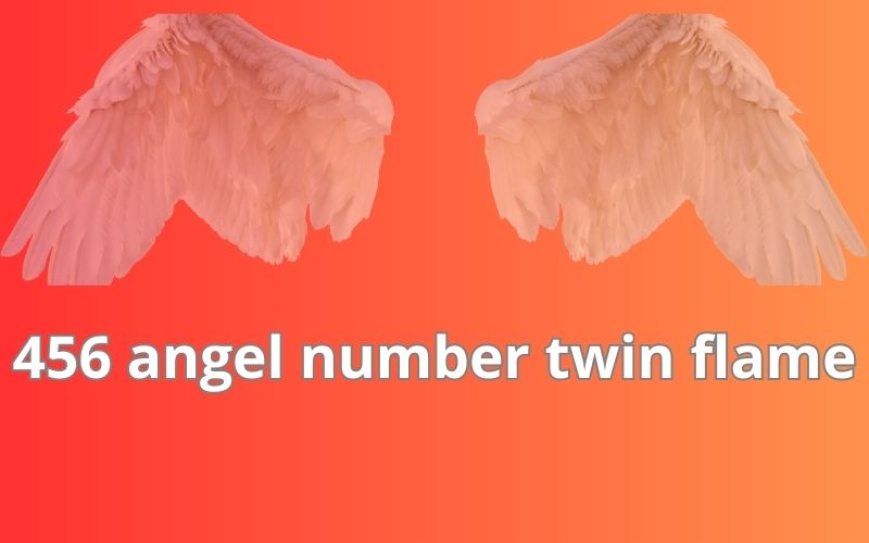 456 angel number twin flame