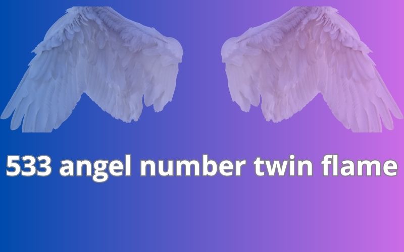533 angel number twin flame