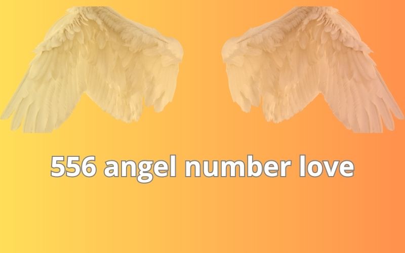 556 angel number love