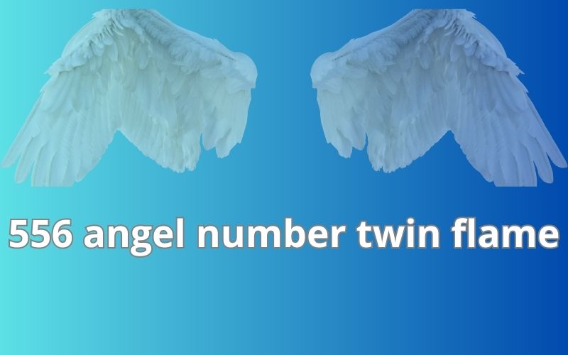 556 angel number twin flame