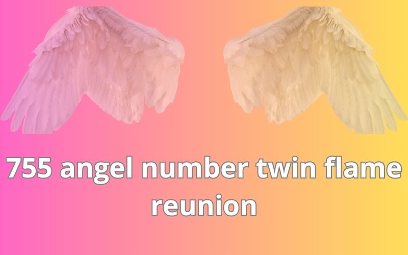 755 angel number twin flame reunion