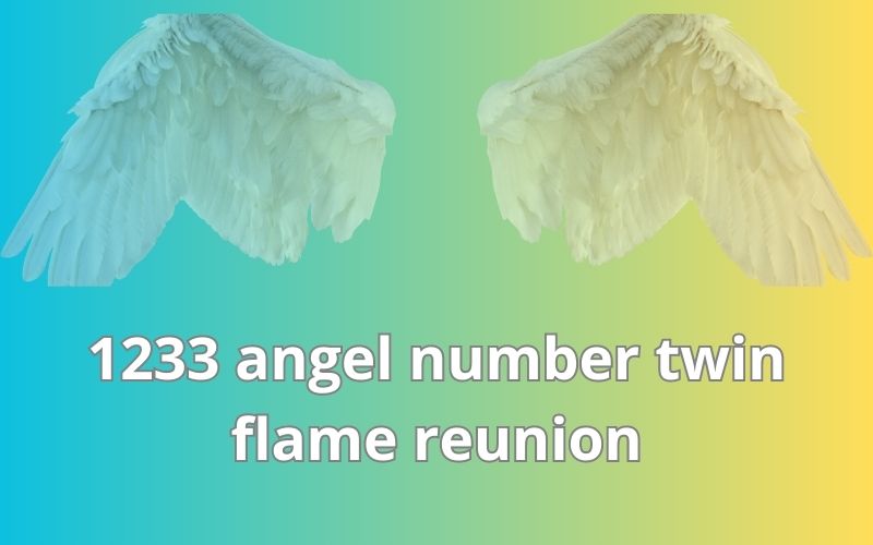 1233 angel number twin flame reunion