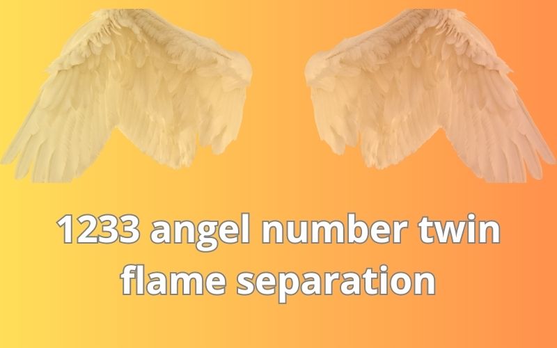 1233 angel number twin flame separation