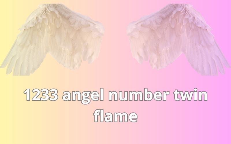 1233 angel number twin flame