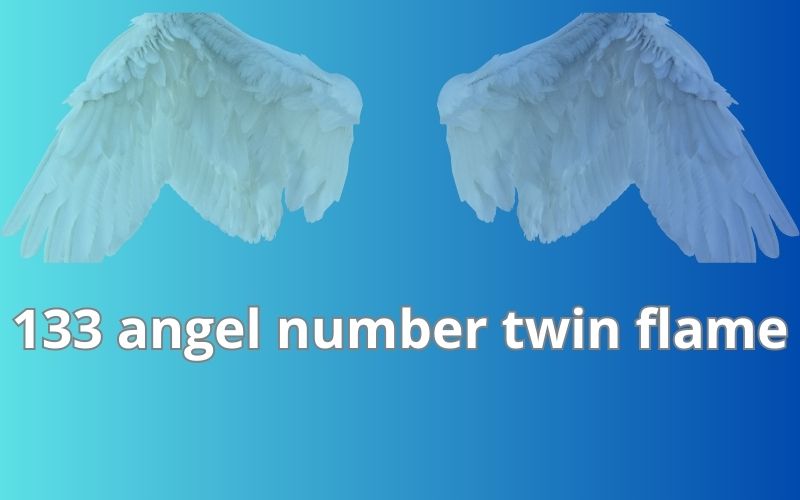 133 angel number twin flame