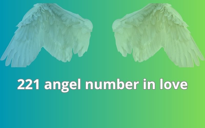 221 angel number in love