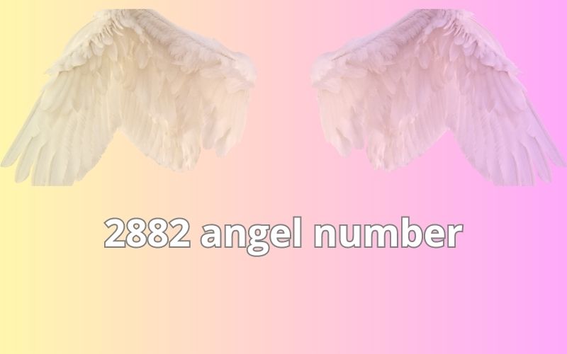 2882 angel number
