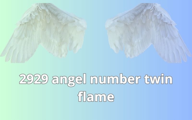 2929 angel number twin flame